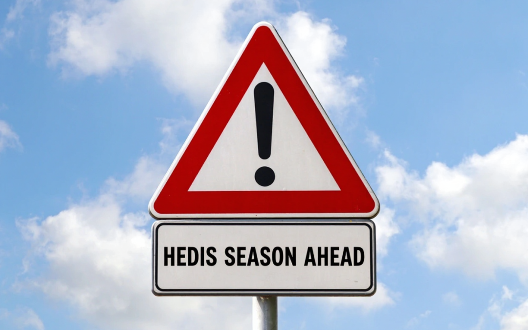Everything You Need to Know About HEDIS Audits